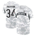 C.Bears #34 Walter Payton Player Arctic Camo Salute to Service Performance T-Shirt Limited Kdoa Stitched Jerseys