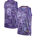 Kdoa LA.Lakers #8 LeBron James Purple Select Series Swingman Stitched Jerseys
