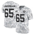 Kdoa LV.Raiders #65 Tyler Linderbaum Player Arctic Camo Salute To Service Limited Game Stitched Jerseys