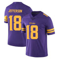 Kdoa MN.Vikings #18 Justin Jefferson Player Purple Limited Color Rush Home Game Stitched Jerseys