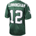 Kdoa P.Eagles 1992 #12 Randall Cunningham Mitchell & Ness Green Authentic Throwback Retired Player Stitched Puhic Jersey
