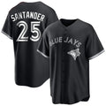 Kdoa T.Blue Jays #25 Anthony Santander Player Black City Connect Limited Stitched Jerseys